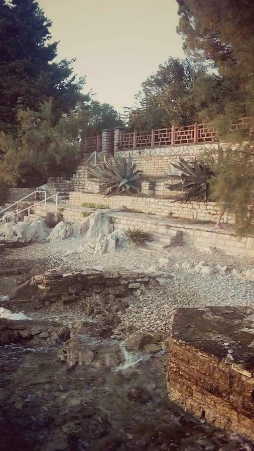 Villa Magnolia Kožino エクステリア 写真